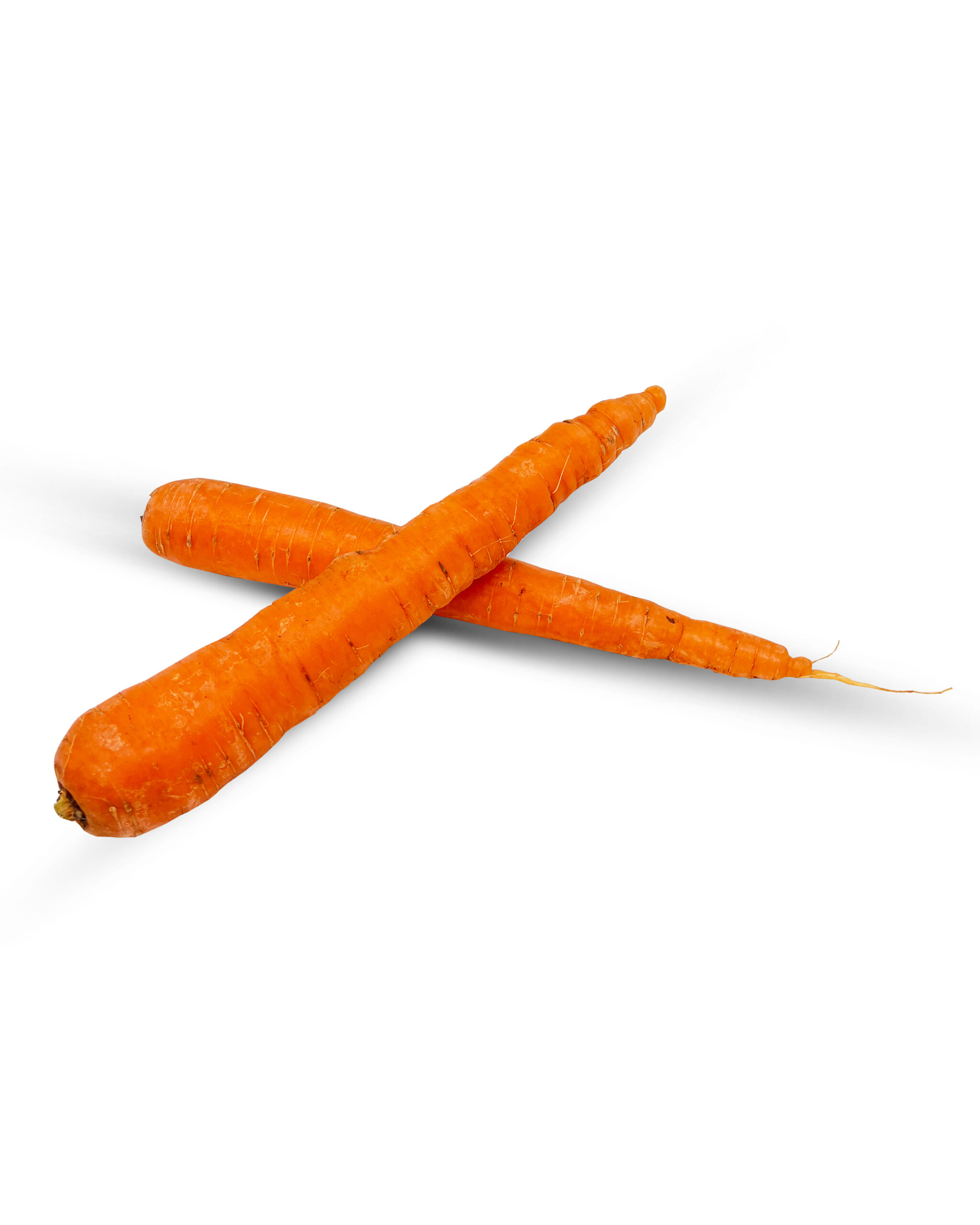 Carrots CY