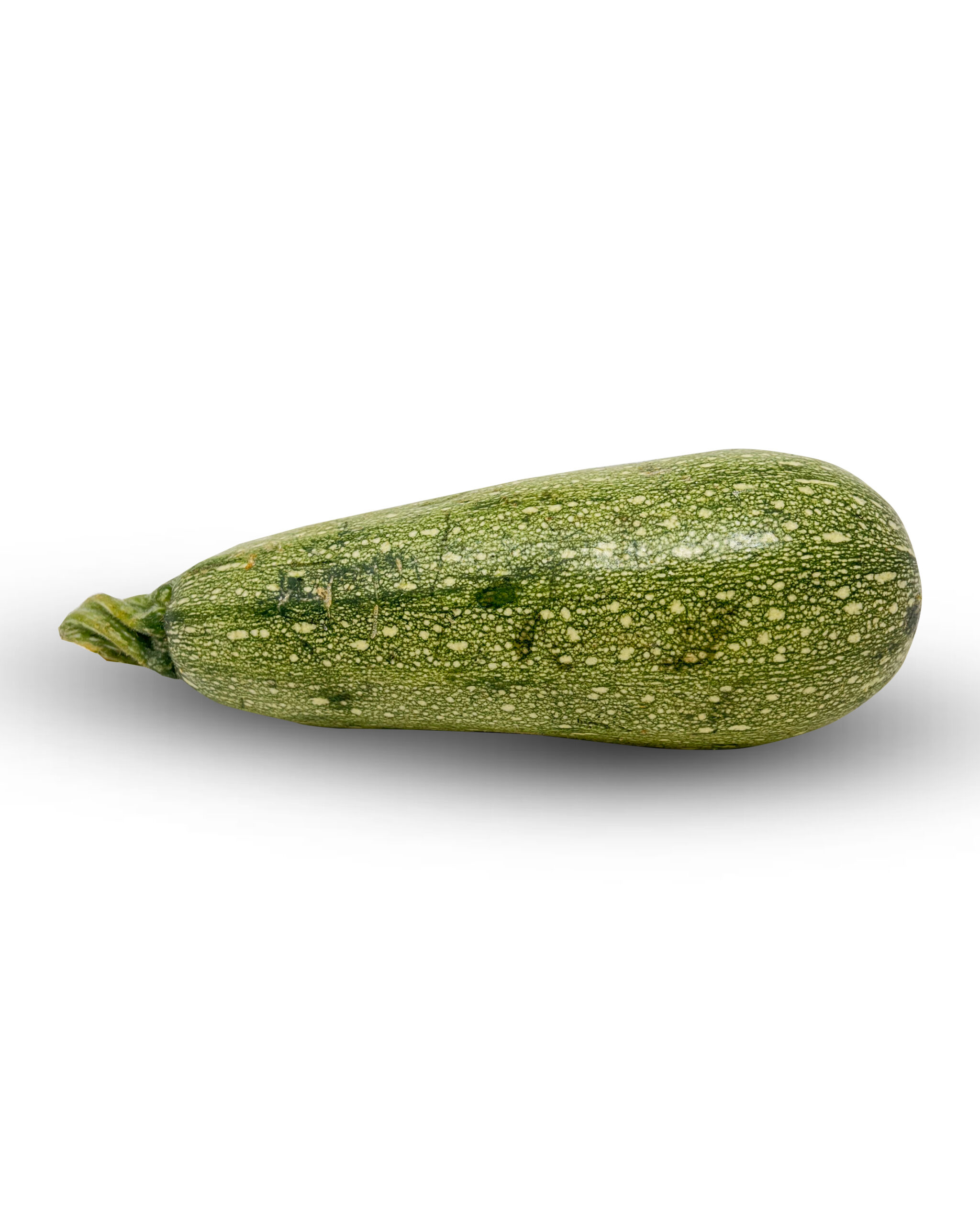 Zucchini White