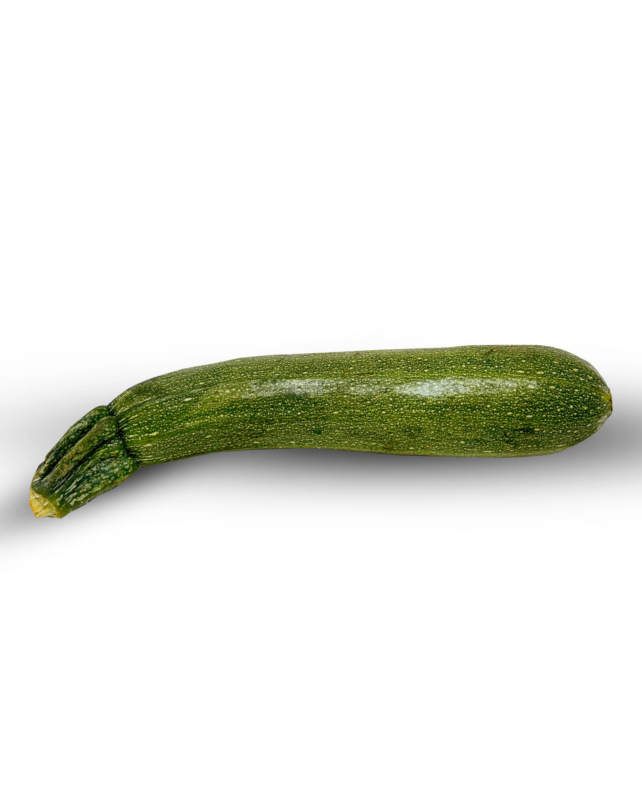 Zucchini Black