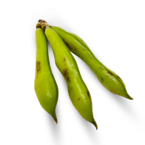 Fresh Broad Beans