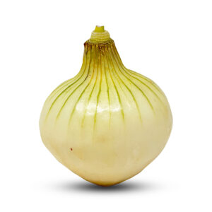 Fresh Onion Head