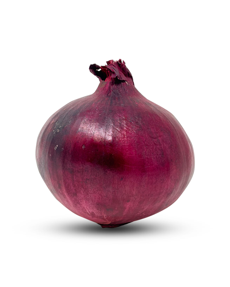 Onion Red Imported