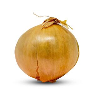 Large Onion Imported