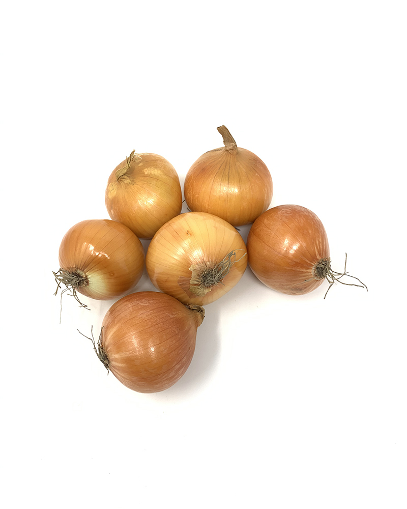 Medium Onion Imported
