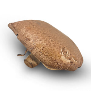 Portabello Mushrooms