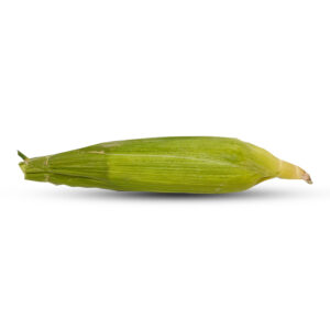 Corn CY