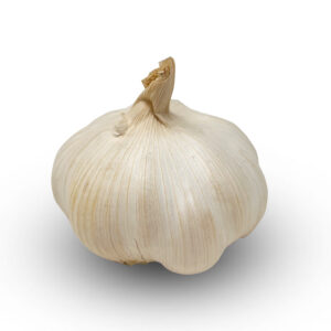 Garlic Imported