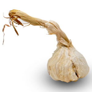 Fresh Garlic (Per Piece)