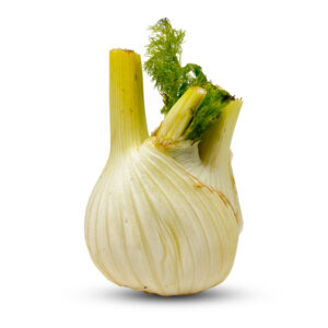 Fennel Imported