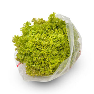 Lollo Biondo (Per Piece)