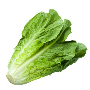 Lettuce (Per Piece)