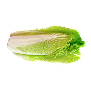 Chinese Cabbage CY (Per Piece)