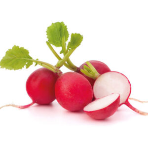 Radish Imported
