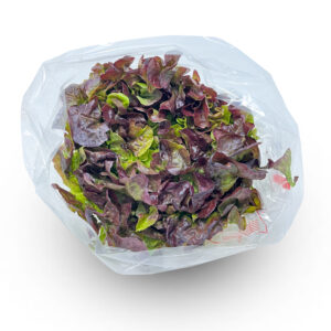 Oakleaf Red (Per Piece)