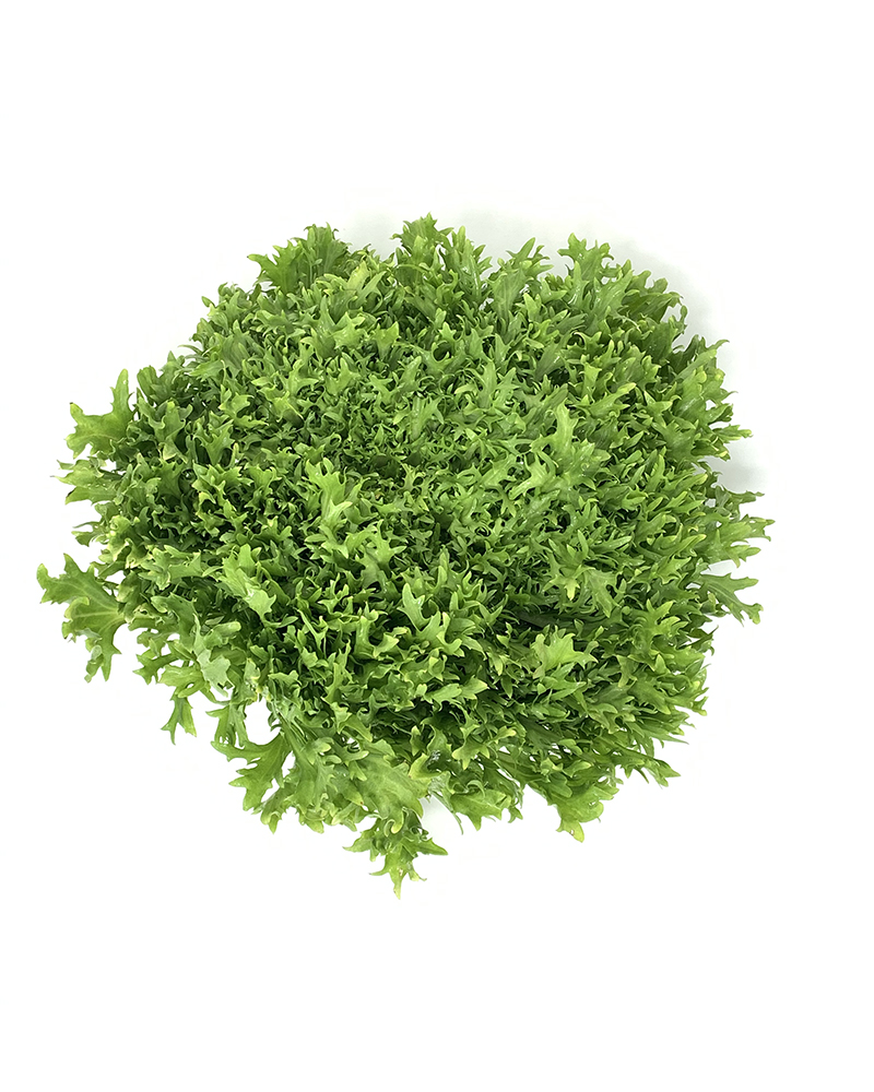 Frisee CY (Per Piece)