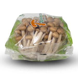 Shimeji Mushrooms 150gr