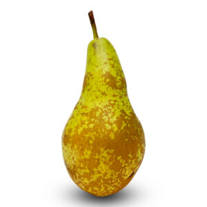 Conference Pears Imported