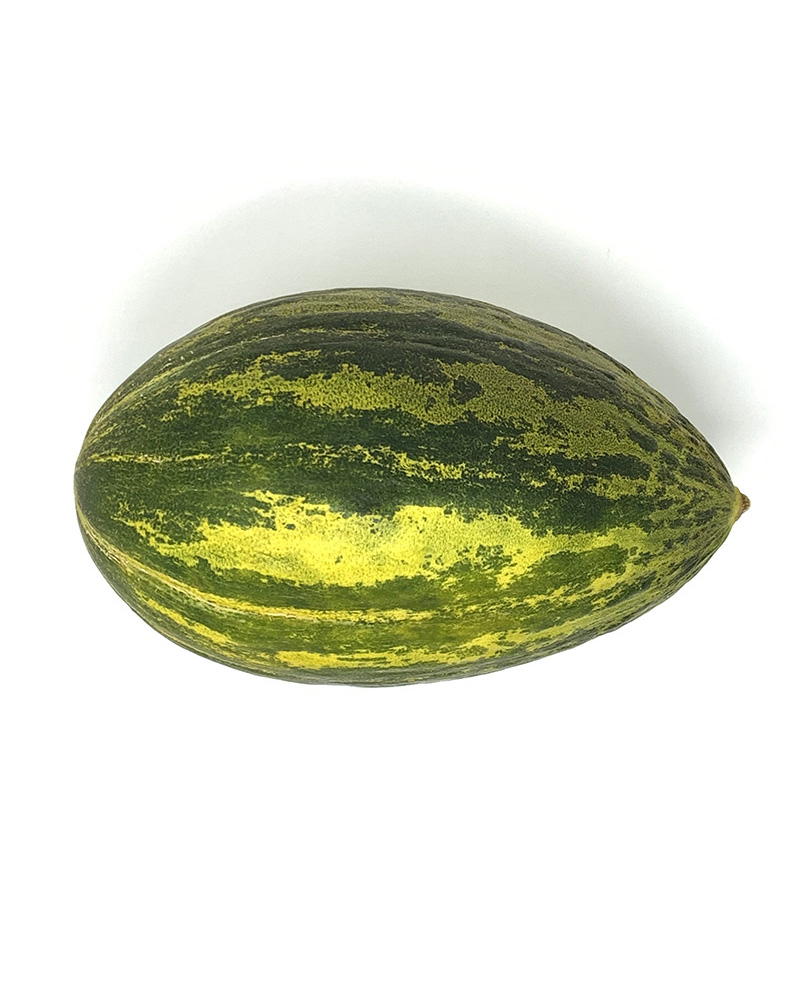 Canary Melon Argiriko CY