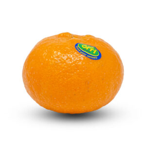 Madarin Orange Orri Imported