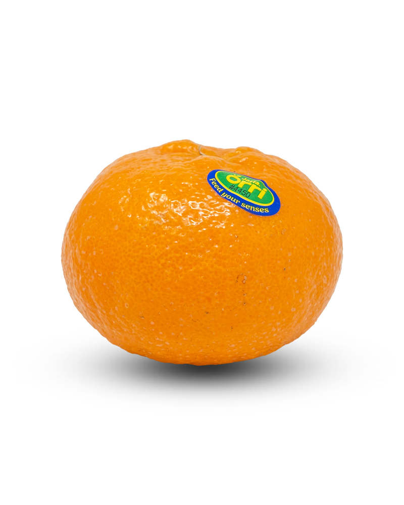 Madarin Orange Orri Imported