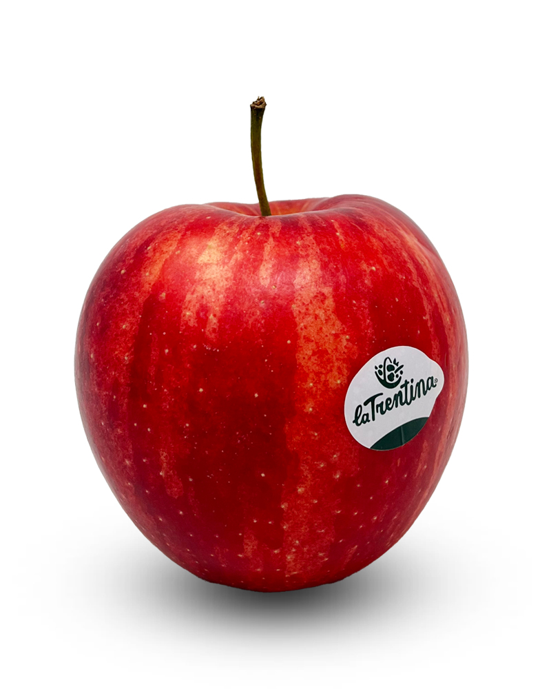 Dallago Apples Extra Imported