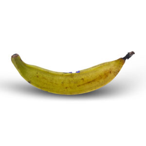 Banana Plantain