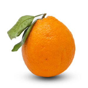 Oranges Valencia Super CY