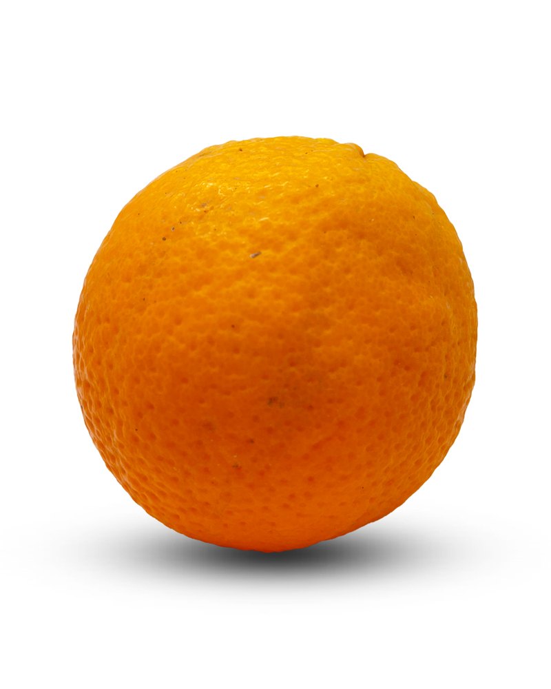 Oranges Valencia Extra Cy