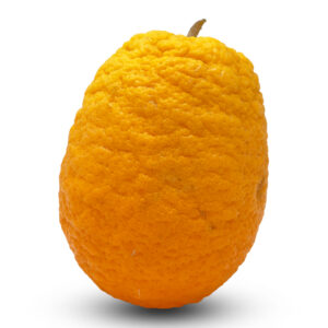 Giafitika Oranges Super