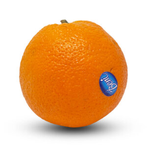 Orange Merlin Imported