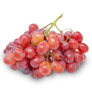Crimson Grape Imported
