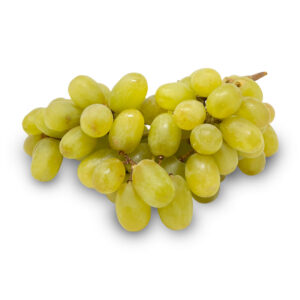 Thompson Grape Imported