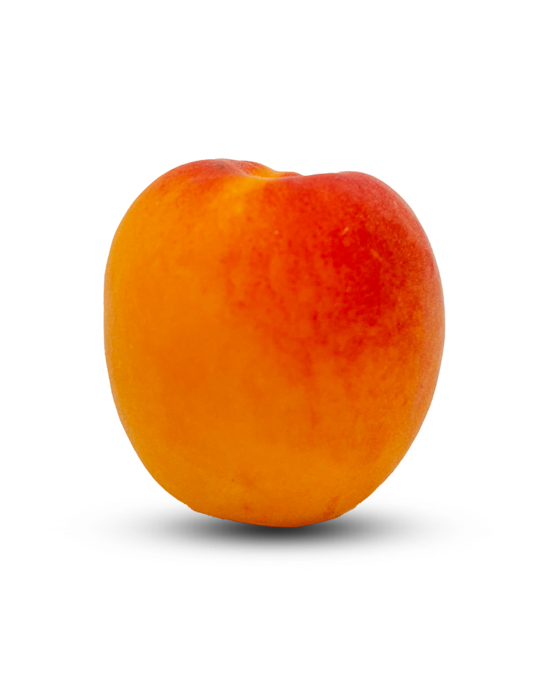 Apricots Imported