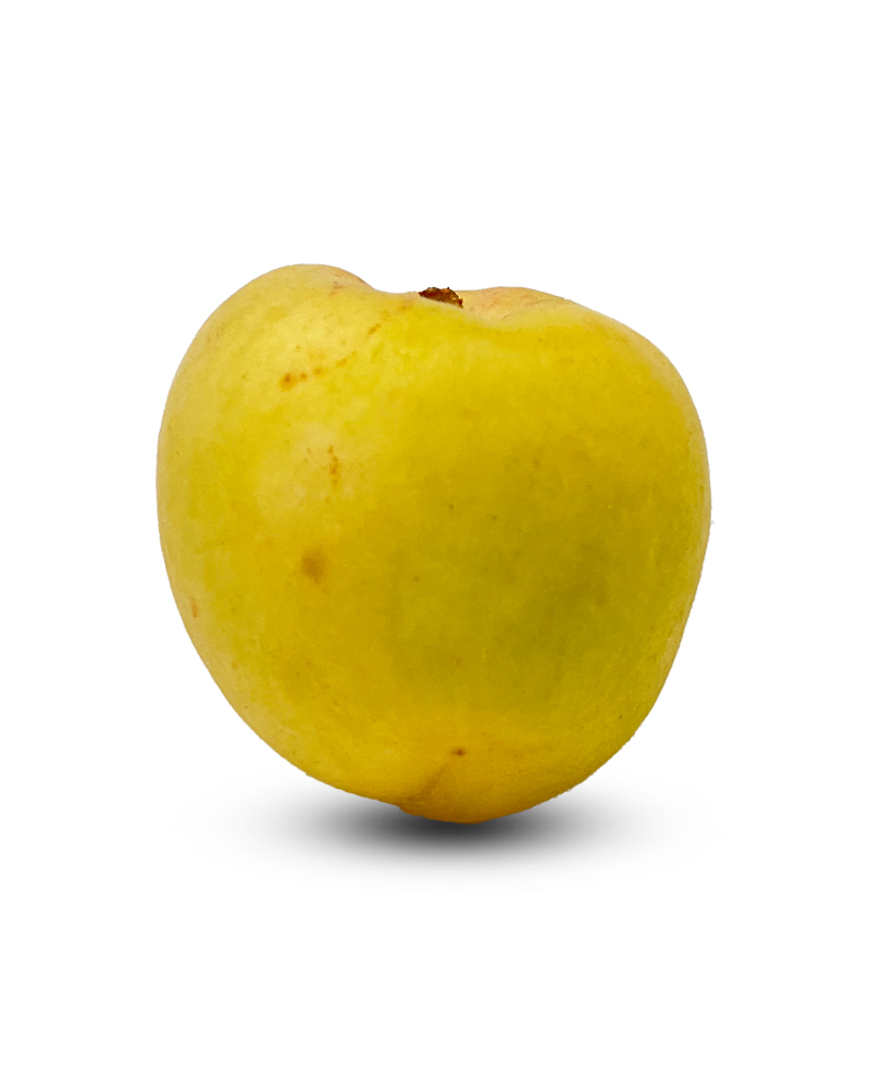 Apricots Kouro Extra