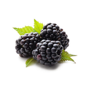 Blackberries Imported (Per Pack)