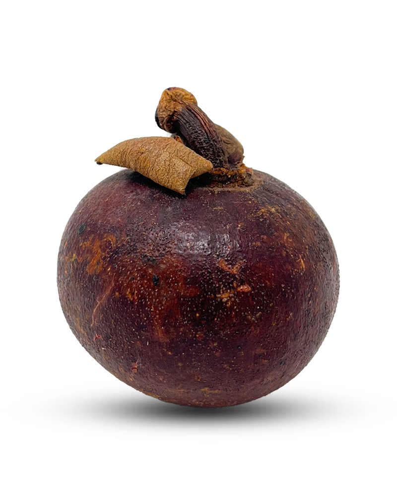 Mangosteen