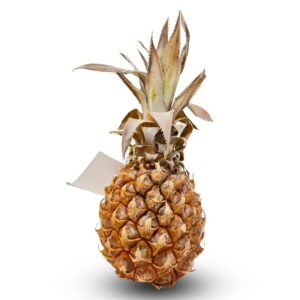 Baby Pineapple Imported