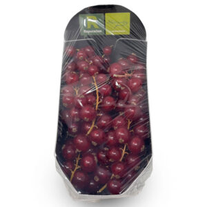 Red Currant Imported