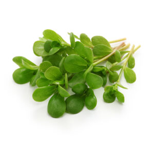 Purslane (Bunch)