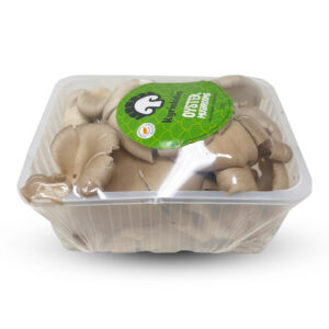 Oyster Mushrooms Pack Of 350gr