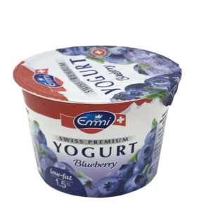 Emmi Swiss Yoghurt Blueberry 100gr
