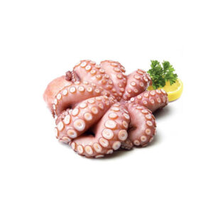 Octopus Flower IQF 1000-1500 Indonesia Premium Fao 57 (Per Kg)