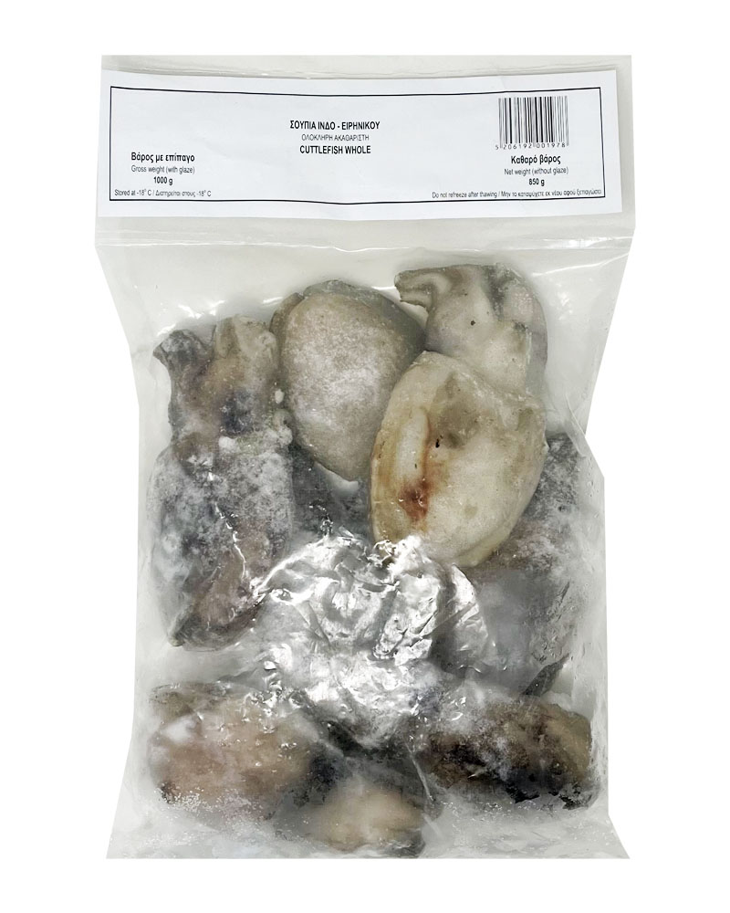 Sepia Whole (Sepia Acualeta) 100-300 IQF 15% (1Kg) 850g Indian Fao 51 Atlantikos (Each)