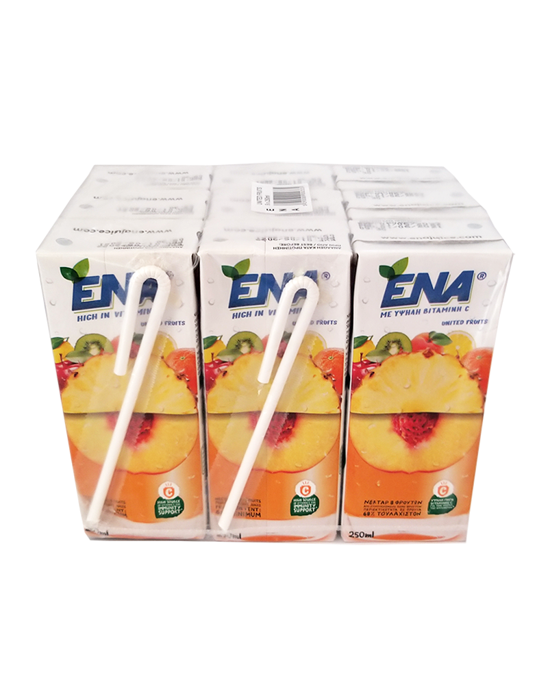 Ena United Fruits Nectar From 8 Fruits Juice 250ml - Image 2